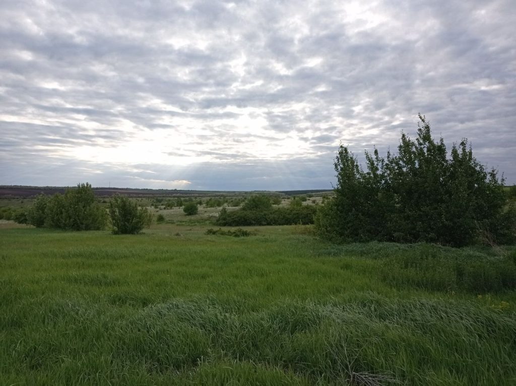   Фото: Л. Казмерова. Галина Ященко