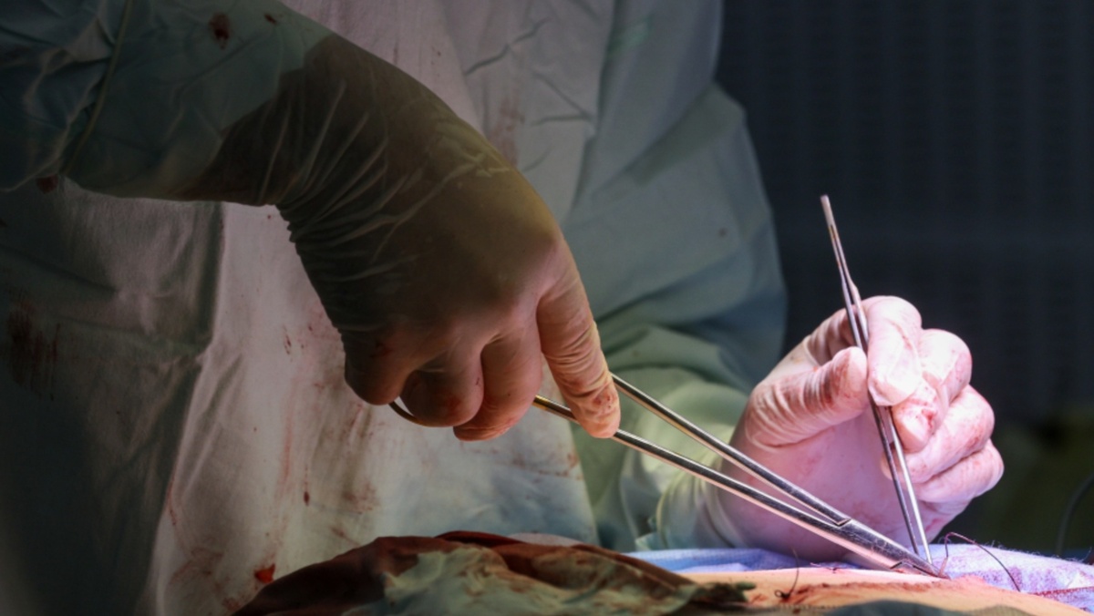 Belkin Alexey/news.ru/Global Look Press