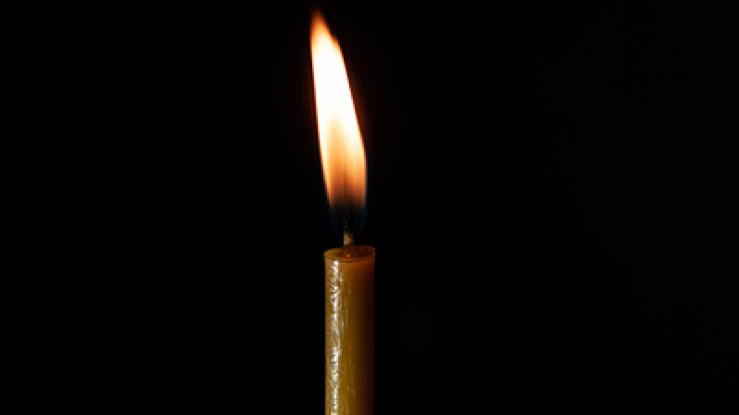    Svetlana Vozmilova/Globallookpress