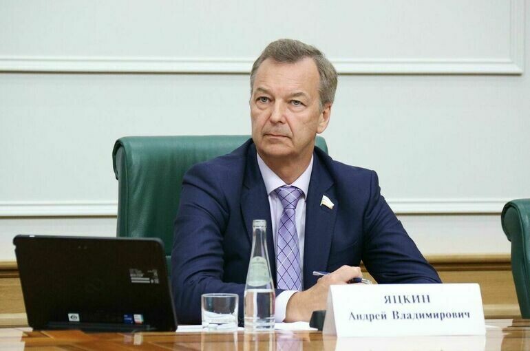   Денис Вышинский / пресс-служба Совета Федерации