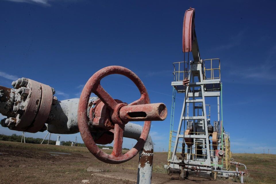    Zamir Usmanov/Global Look Press / www.globallookpress.com