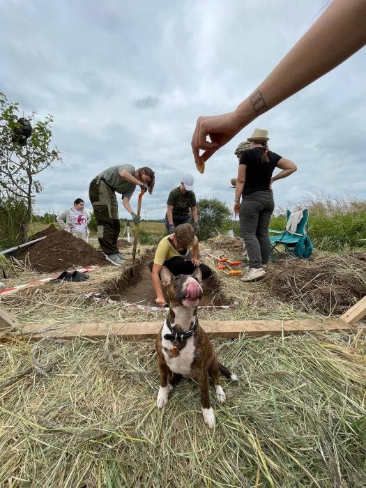 Экспедиция
Фото: телеграм-канал «Псковская археология»