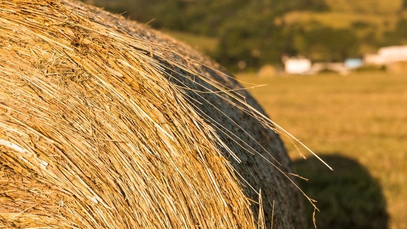      Фото: @freepik / freepik.com