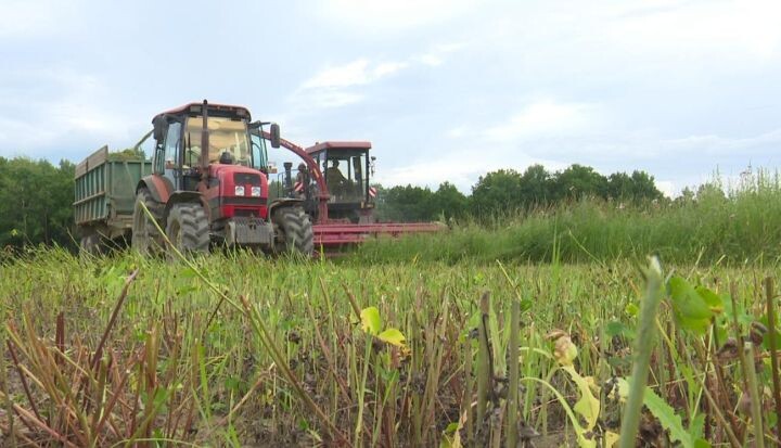   Фото:Мария Полякова
