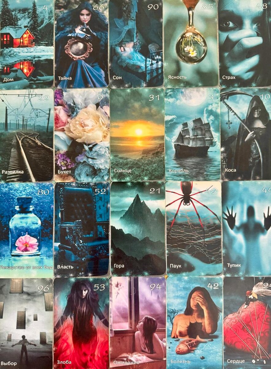 Фото общего расклада.