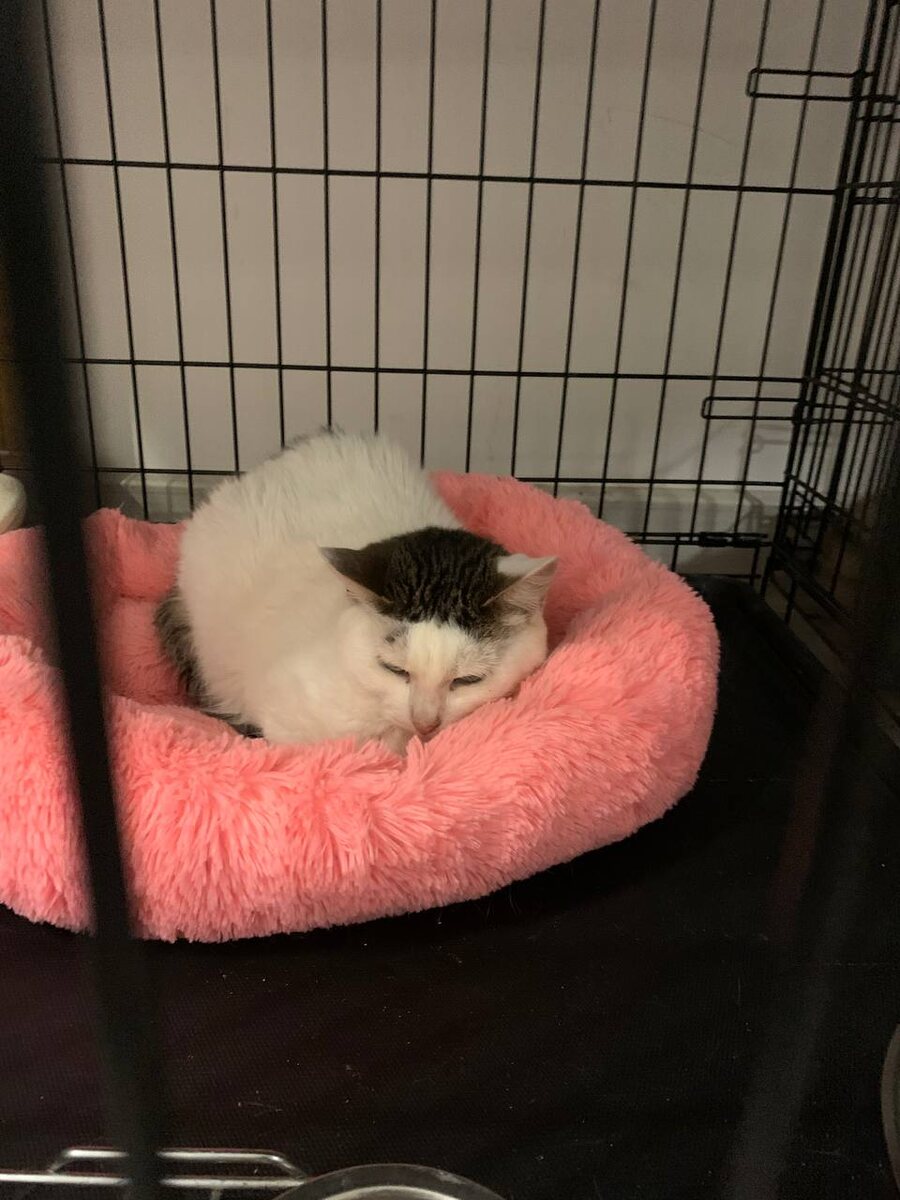 Дюймовочка