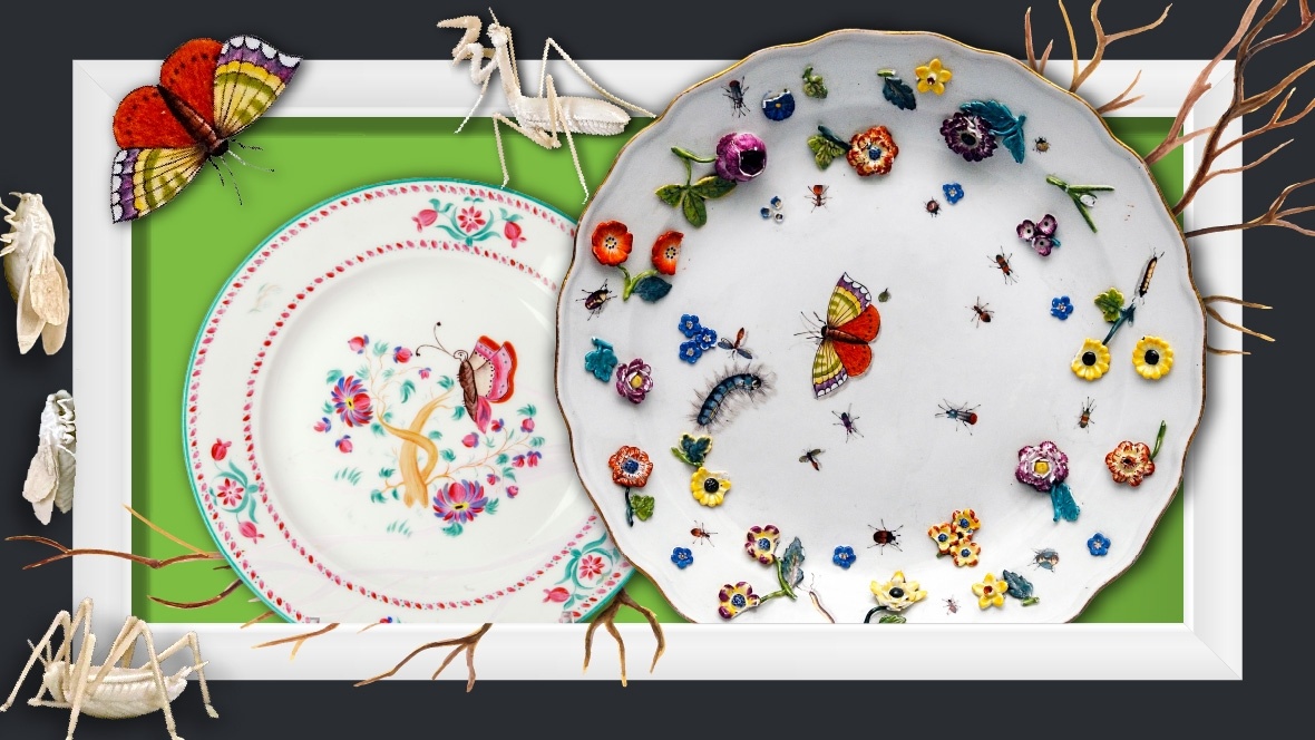 Экспонаты с выставки «Insécta. Насекомые в искусстве». Фото: сайт музея-усадьбы «Кусково»