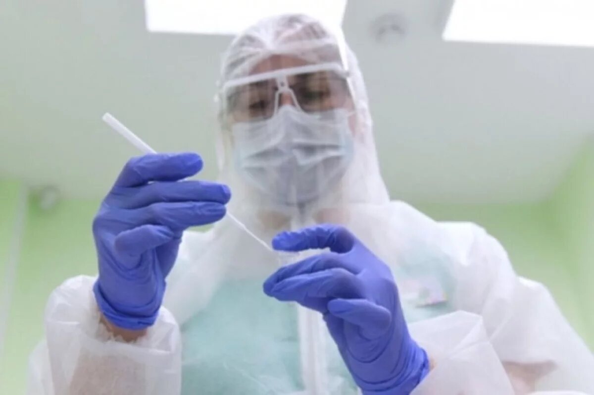    В Новосибирске создают вакцину от опасного клещевого энцефалита