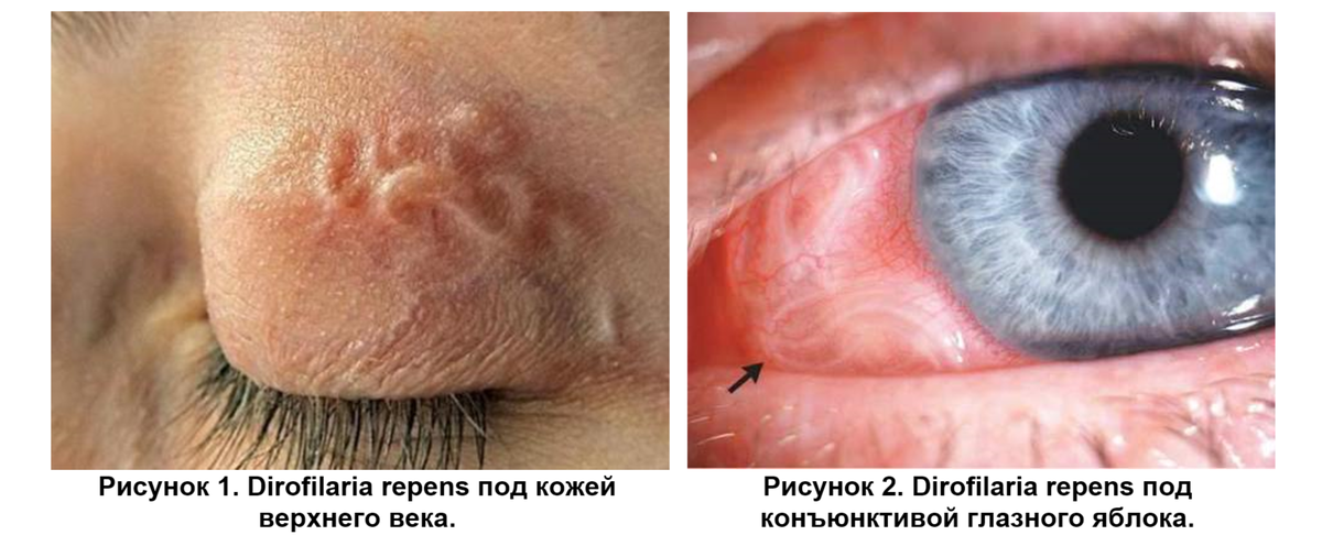 Фото из Интернета