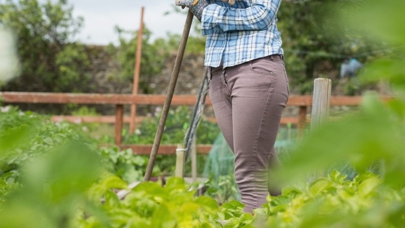      Фото: @Wavebreak Media / freepik.com