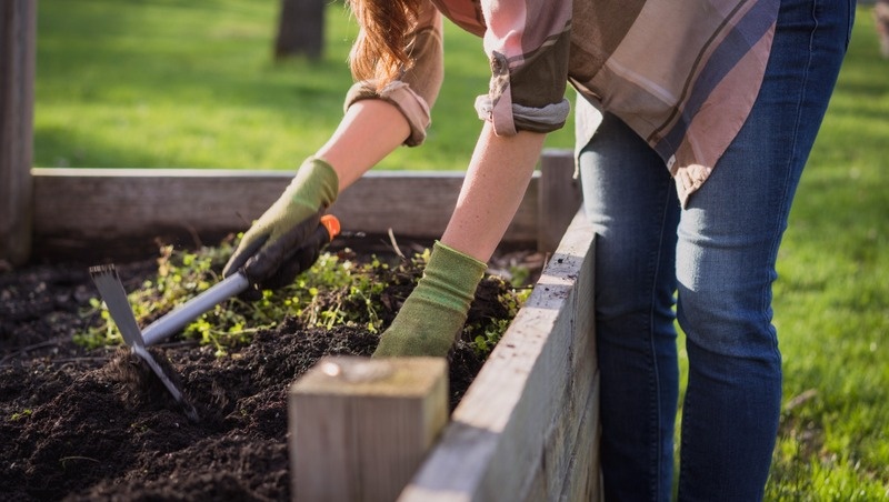     Фото: @EyeEm / freepik.com