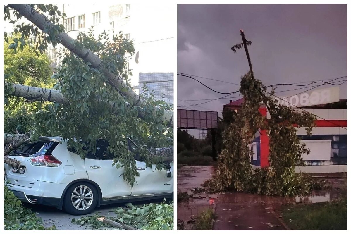    Хабаровск завалило деревьями и ветками, упавшими во время ночной грозы