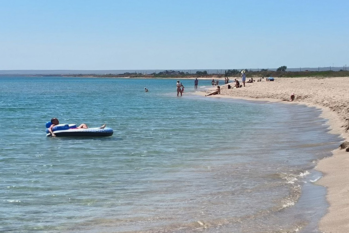 Названы российские воды с опасными для человека акулами.  Фото: Фото: ФедералПресс / Анна Брачева