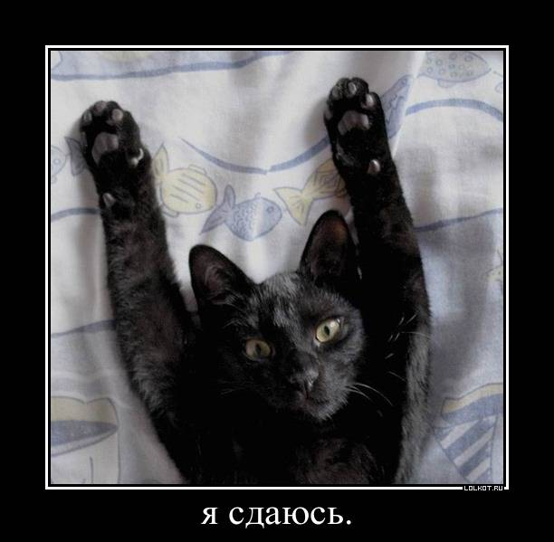 Рисунок из Яндекса. Спасибо автору. 