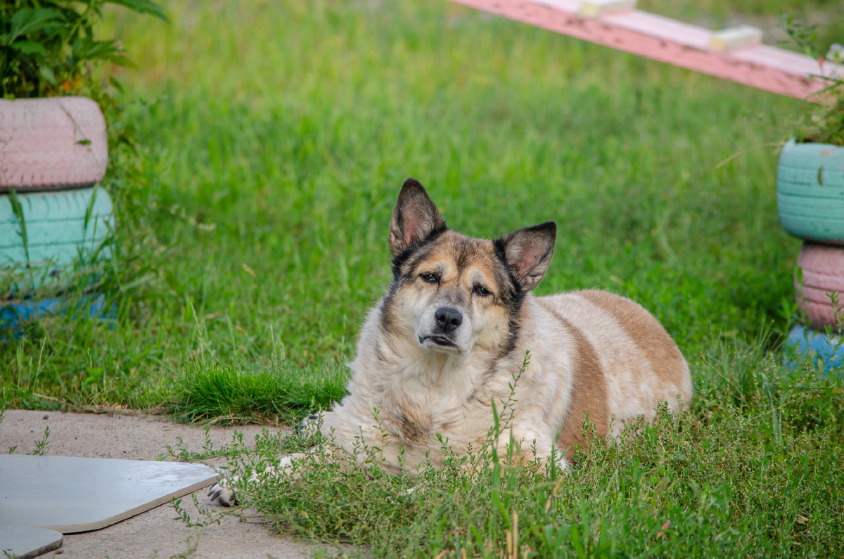 Милая Рыжуля ❤️