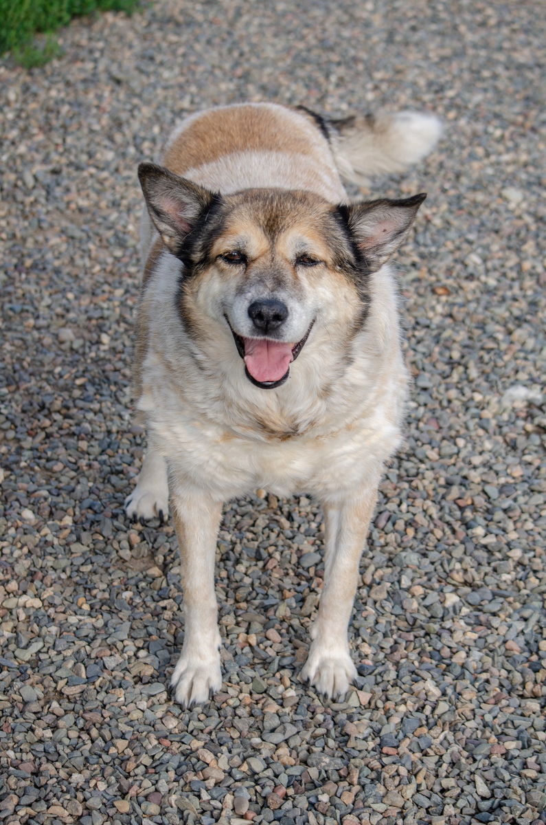 Улыбается 😍