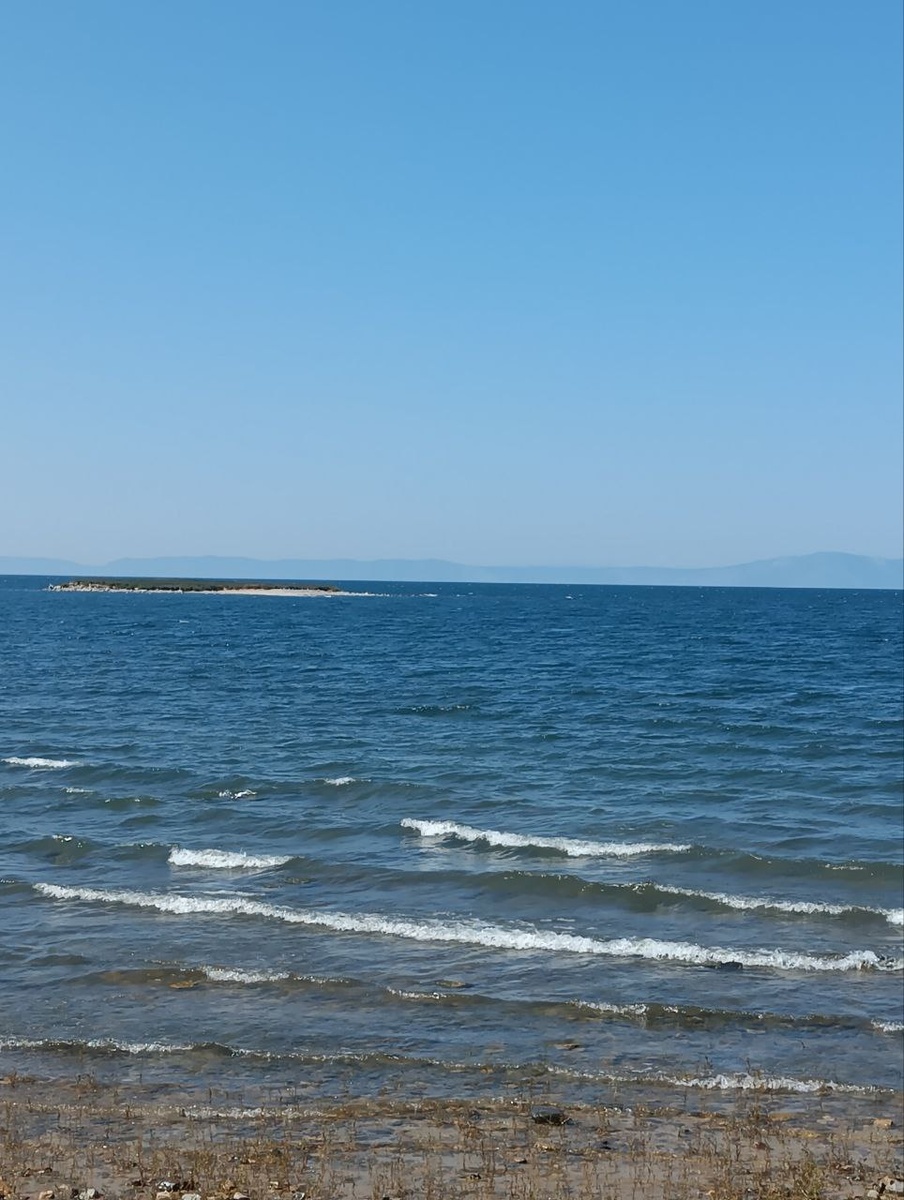 Фото автора.