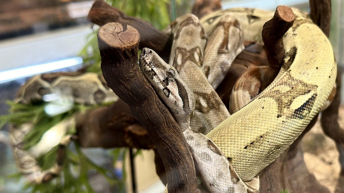    Фото: ИЗВЕСТИЯ