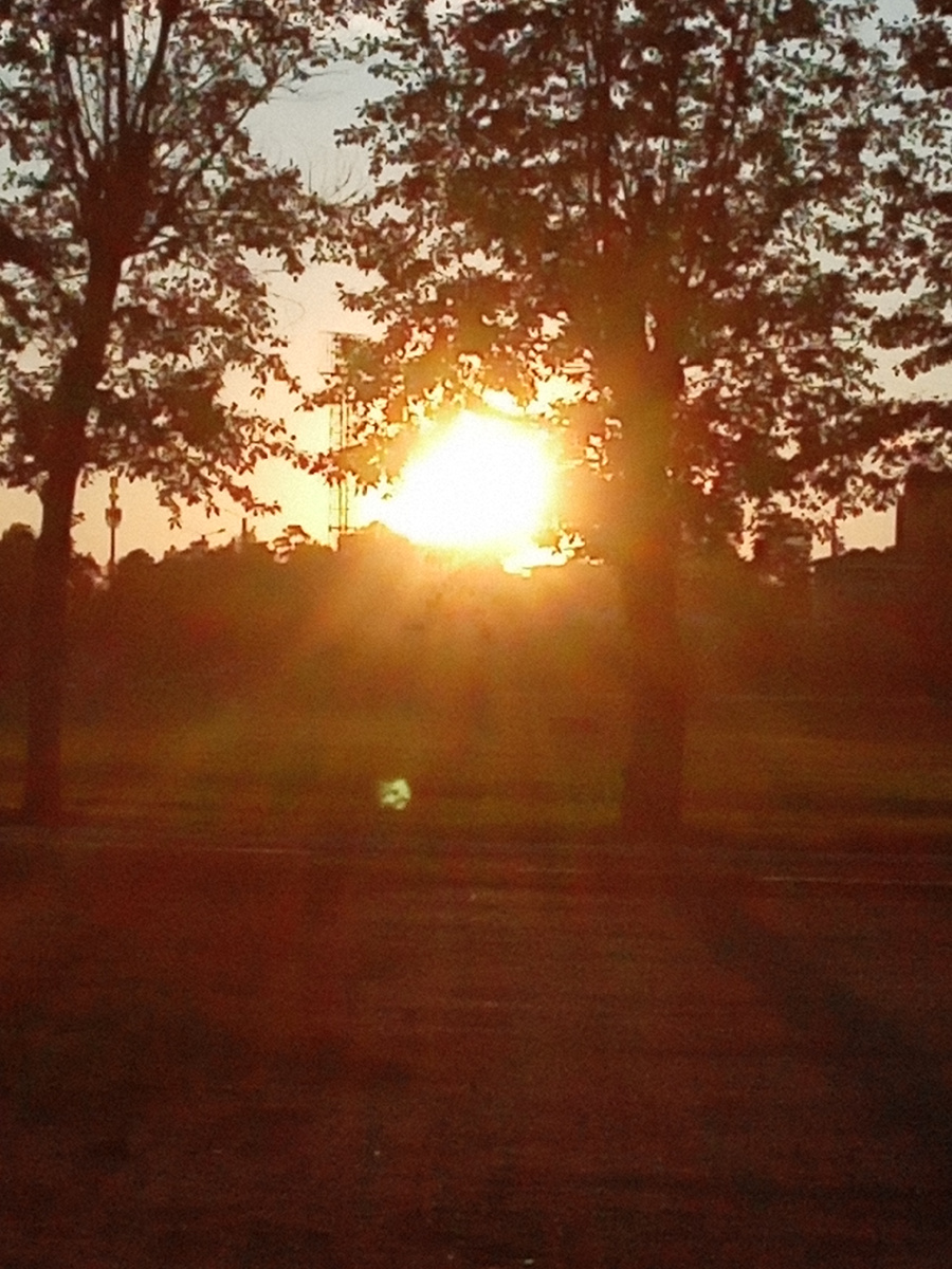 Вот таким! Фото моё 