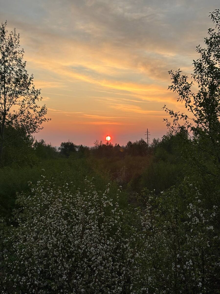 Фото моей племянницы