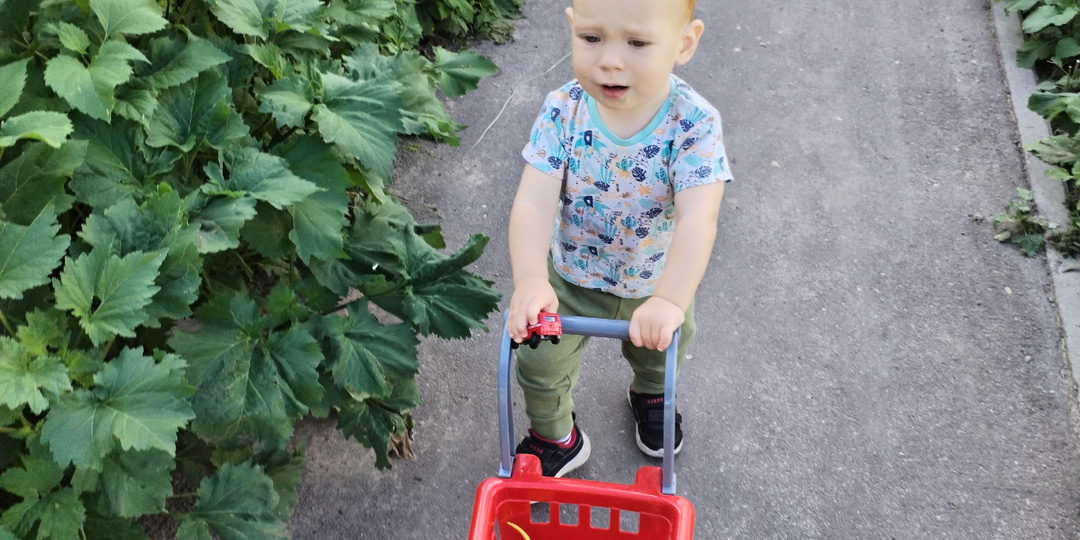 Про имитацию. Развитие в онтогенезе: от простого к сложному