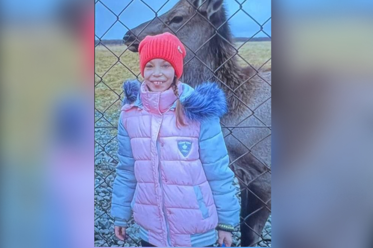 Фото: МУ МВД России «Нижнетагильское»  📷
