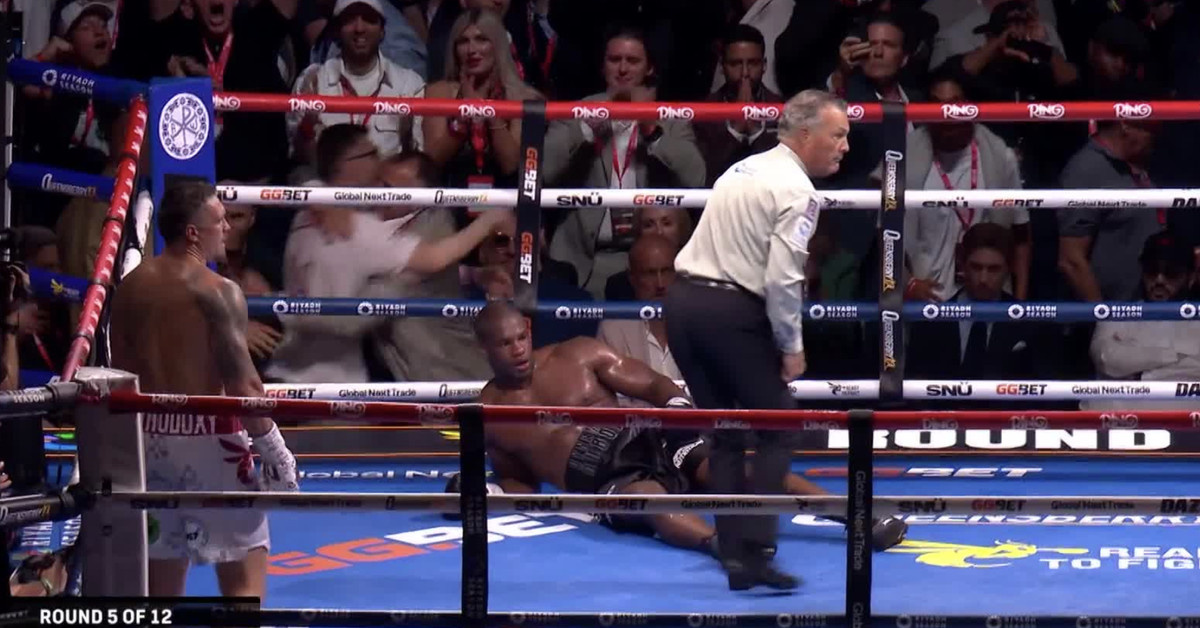 Боксер упал и встать толком не смог.  фото: картинки яндекс.