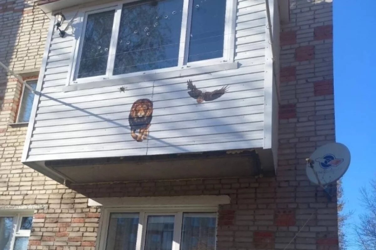    Омичу, который сбросил собаку с балкона, назначили штраф