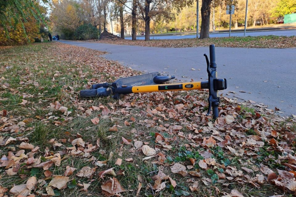    Листопад на улице Попова. Источник: Евгения Кочеткова