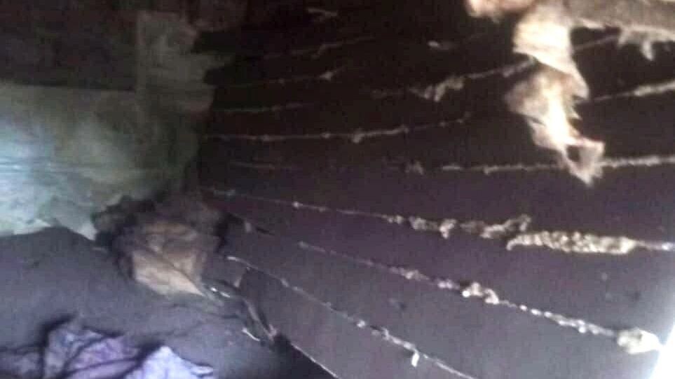     Источник: ОГУ «Противопожарная служба Челябинской области»