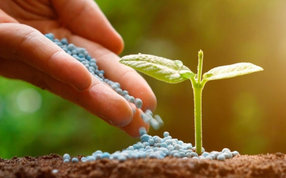 UREA и геополитика: почему фермеры Бразилии ждут кризиса