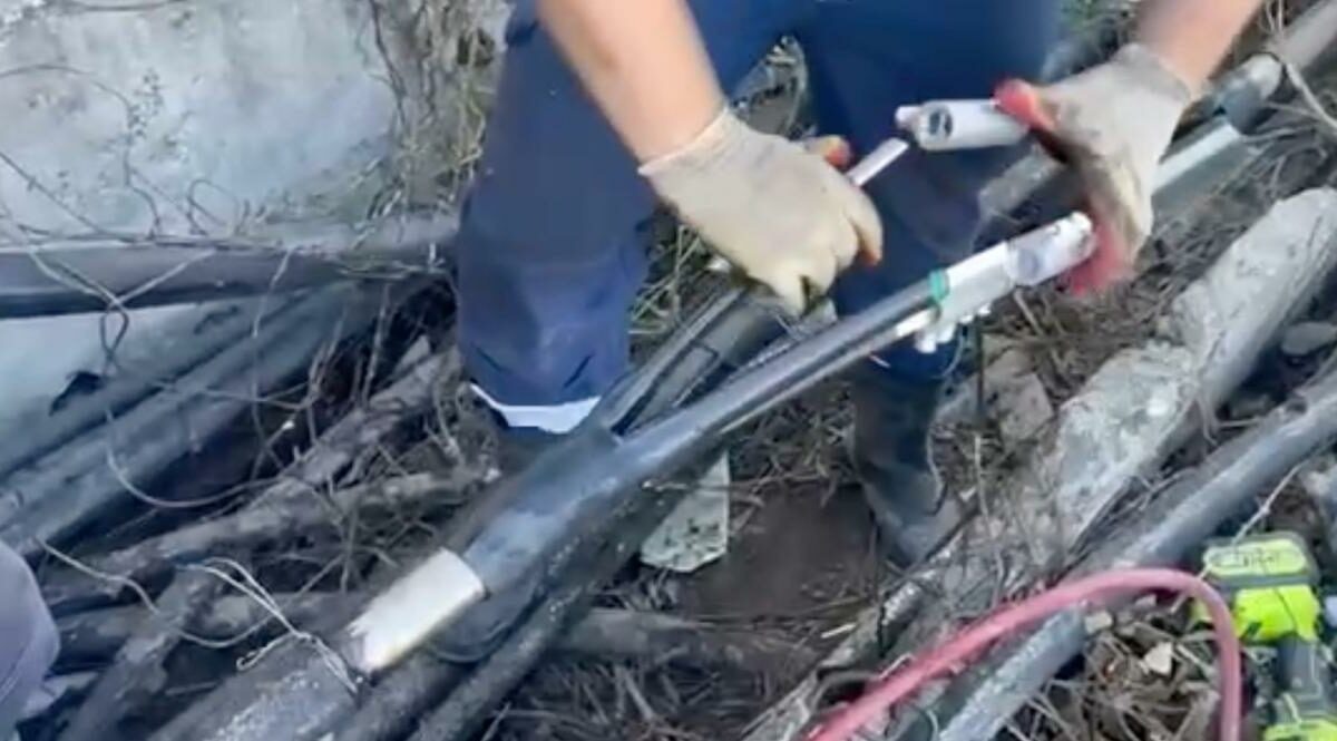    Скриншот видео t.me/kravchenko_glava_nvrsk