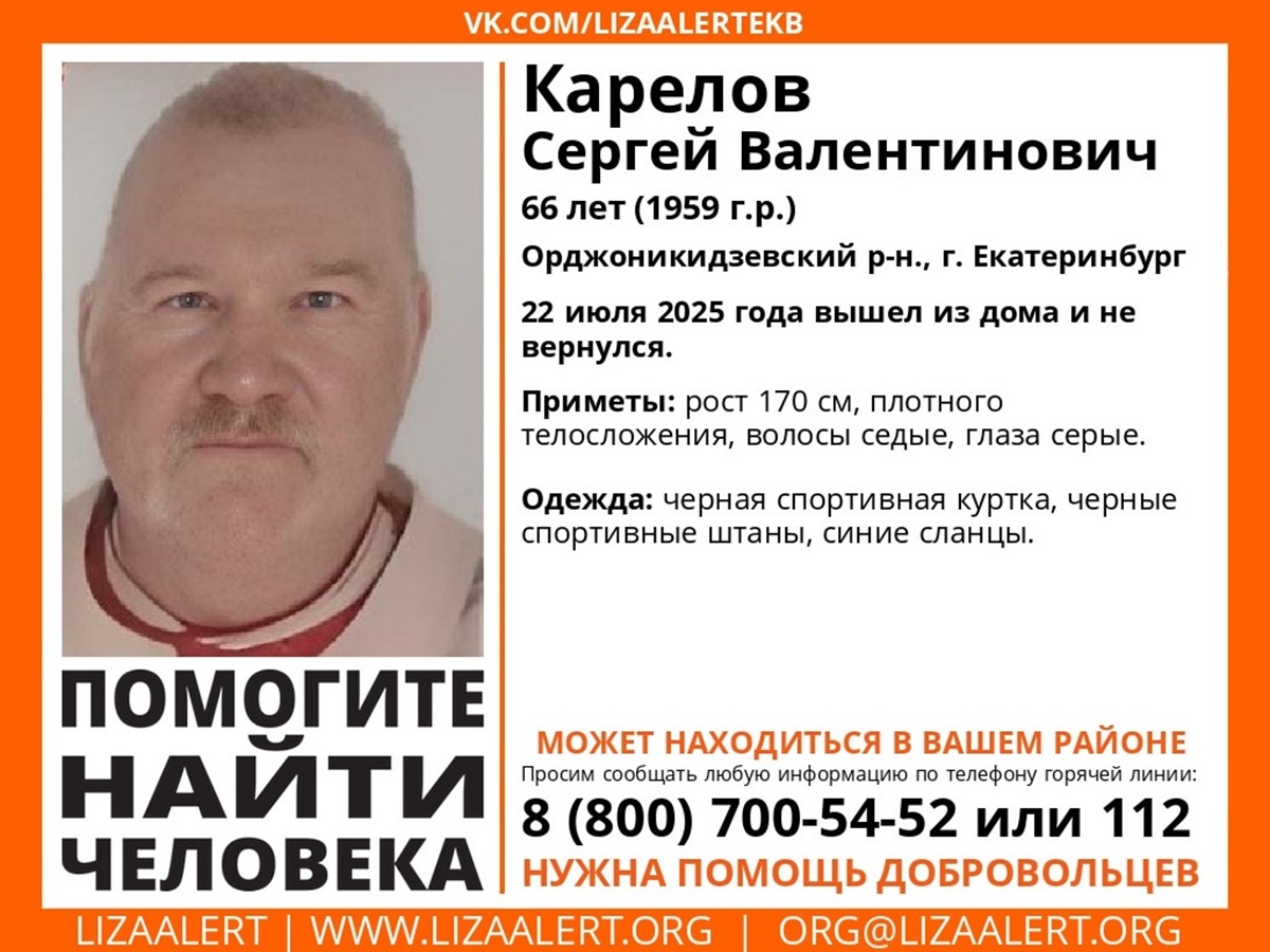 Фото: поисковый отряд «Лиза Алерт» Свердловской области  📷
