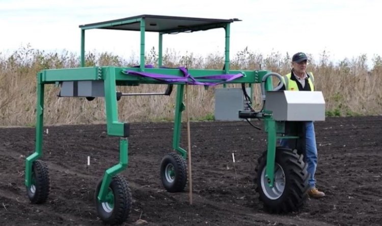   Фото: The University of Queensland