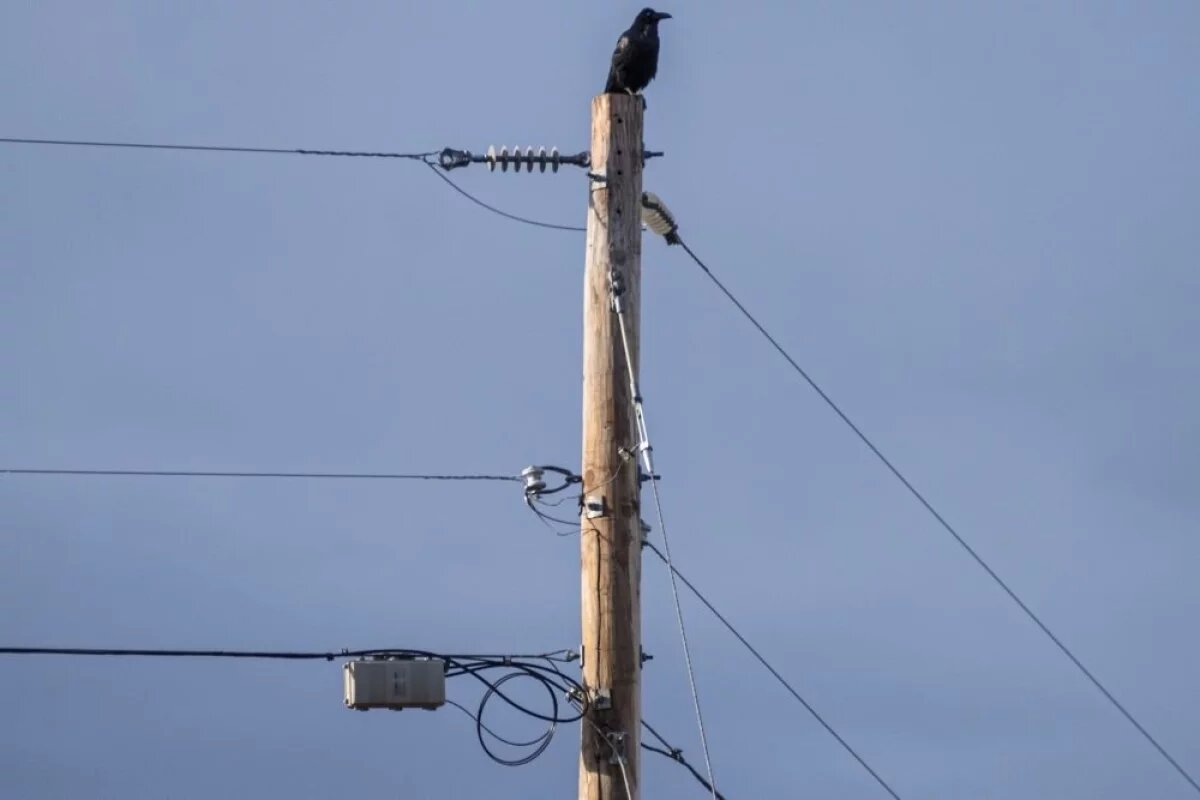    На подстанции в Новороссийске завершили восстановительные работы