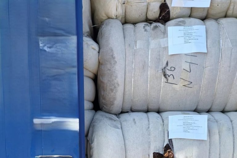    В Оренбуржье не пустили более 17 тонн овечьей шерсти из Казахстана Оренбуржье