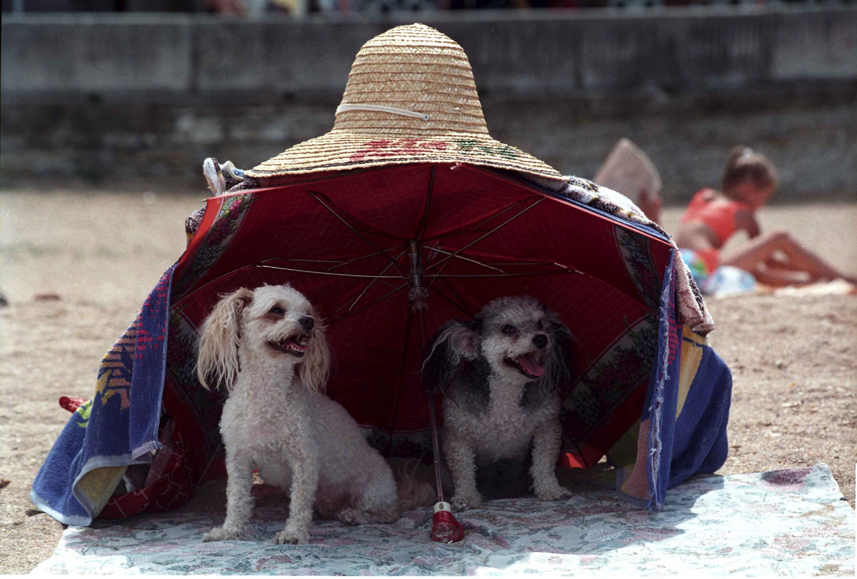 Фото: Владимир Веленгурин.