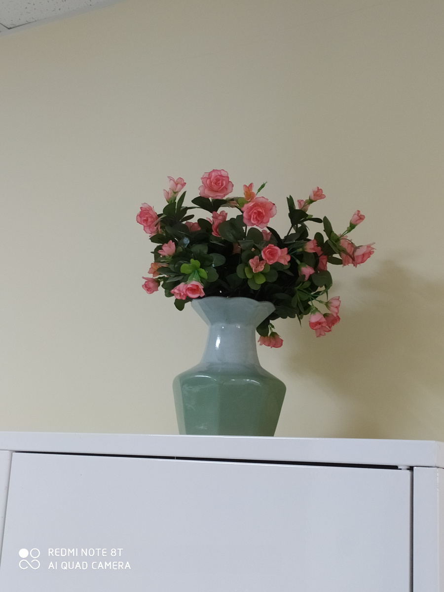 Цветочки на сестринскому посту