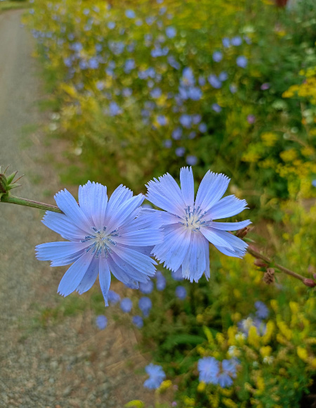 Фотография автора.