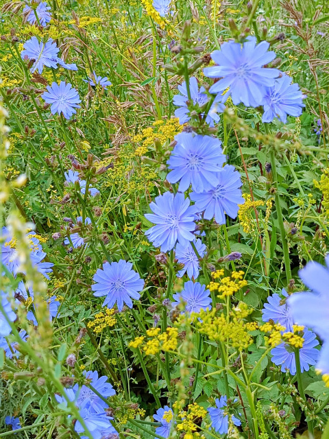 Фотография автора.