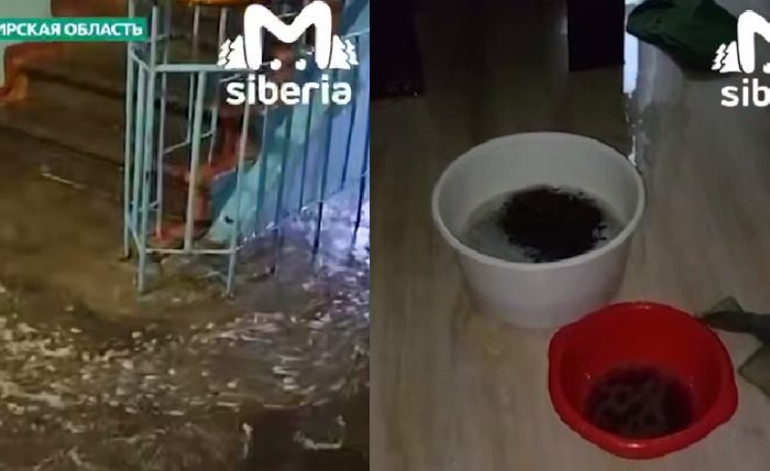 Фото «Mash Siberia».