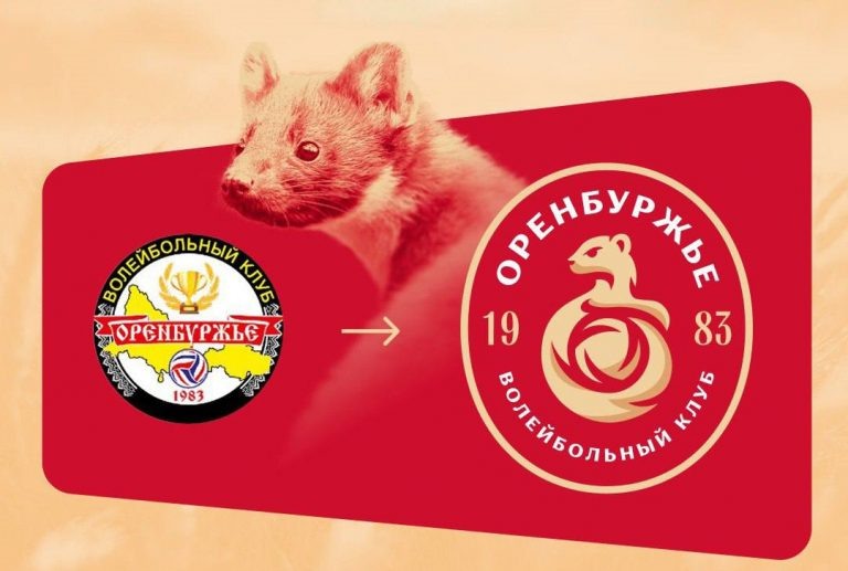    Символом волейбольной команды «Оренбуржье» стала куница Антон Пичурин