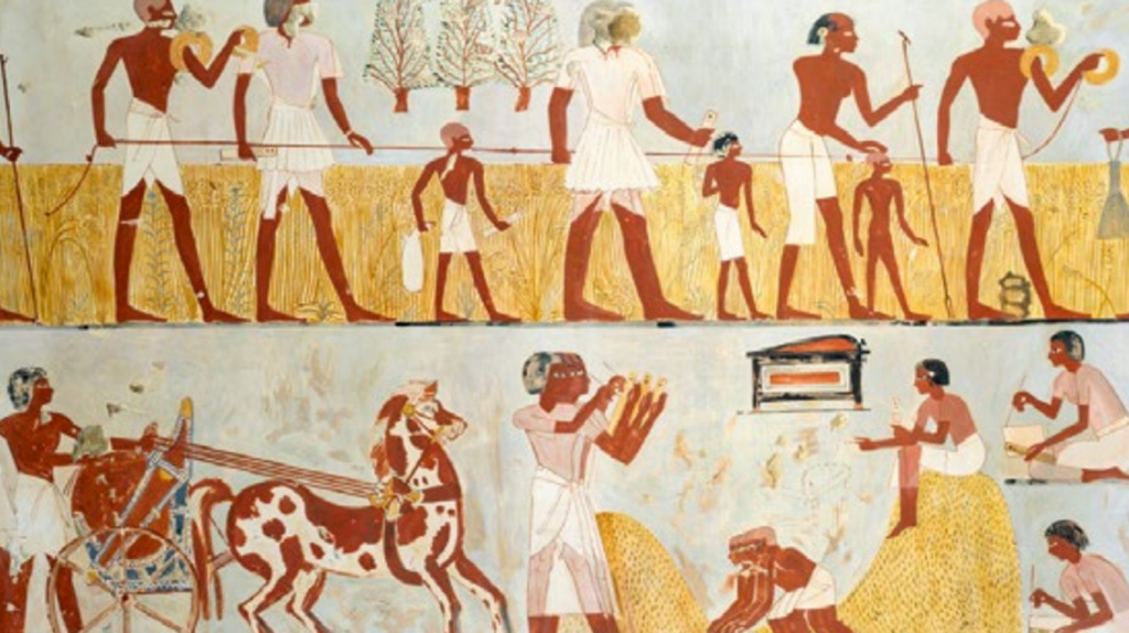     Как люди одомашнили животных и растения (и к чему это привело) Госпожа Метафора