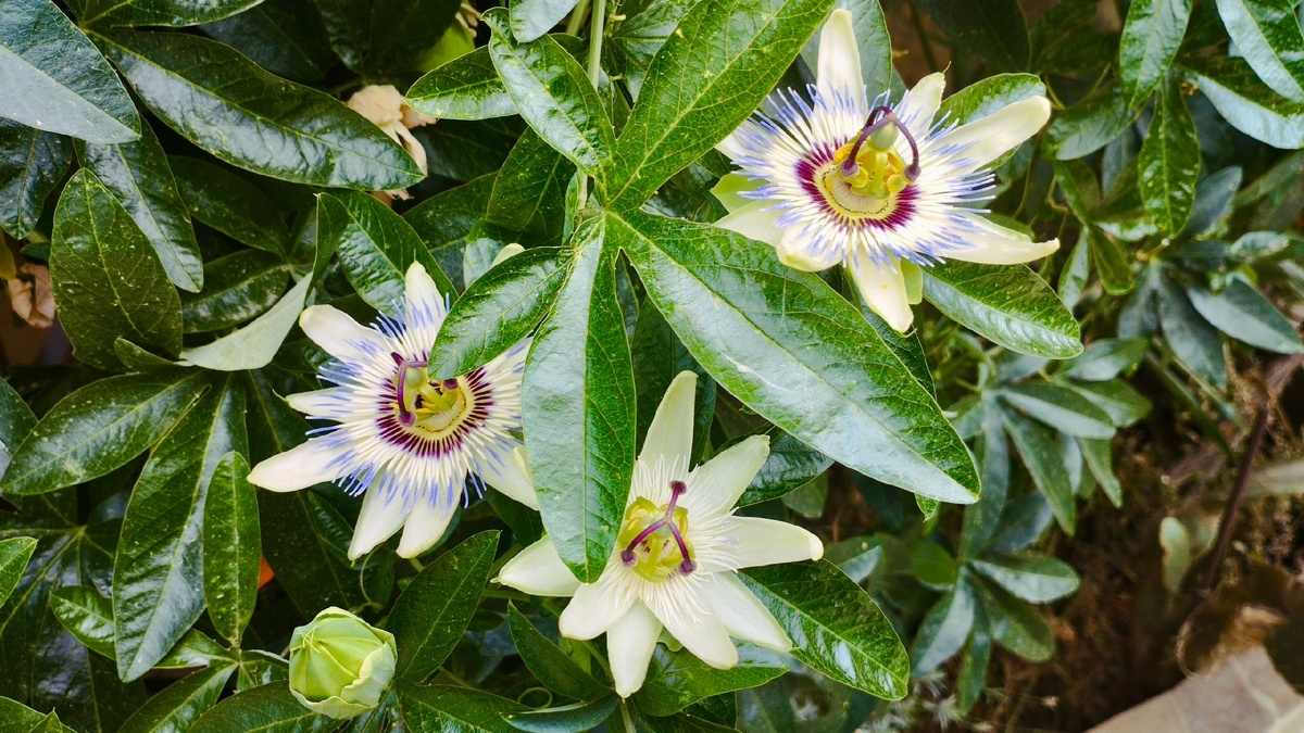 Фото: Николай Лепешко