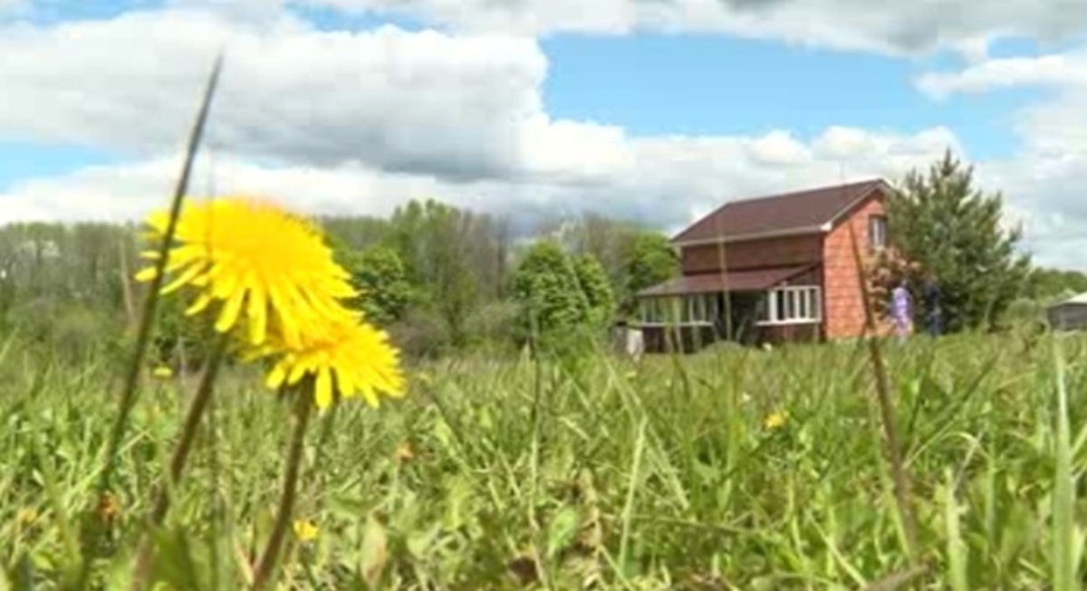    Поздравляем курян с Днём дачника