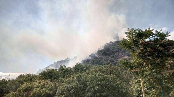    © Министр экологии и природных ресурсов Республики Крым