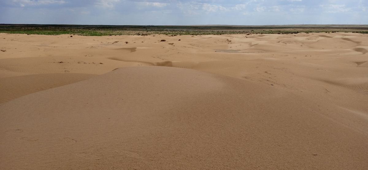 Это не Сарыкумский бархан,  а что-то поскромнее