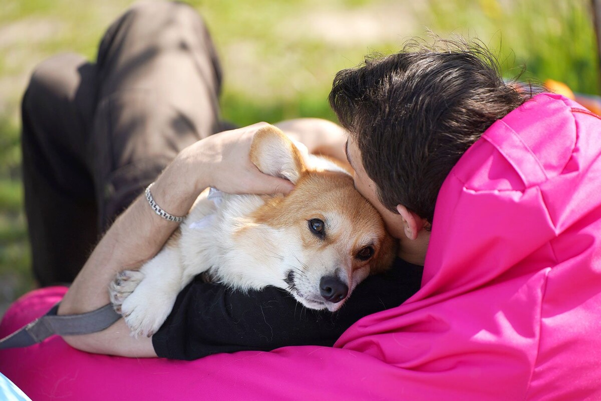   Необычные собачьи клички дают москвичи своим питомцам