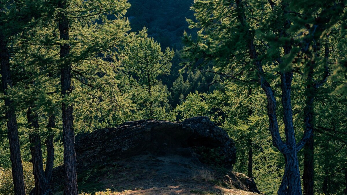    Фото: Андрей Ткачев / «Ямал-Медиа»