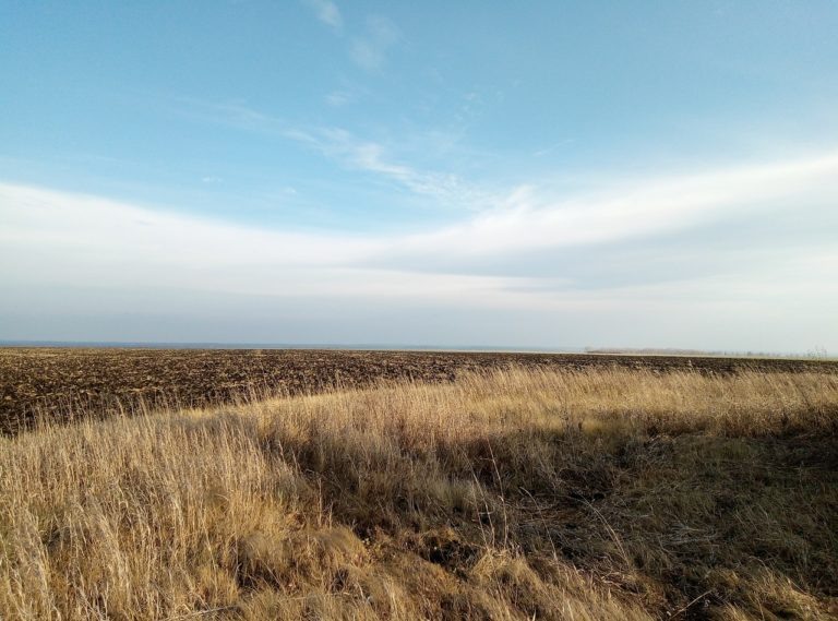    pixabay.com\Dfpost Анфиса Слепцова